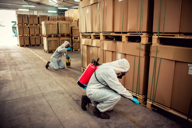 Best Exterminator Services  in Clementon, NJ