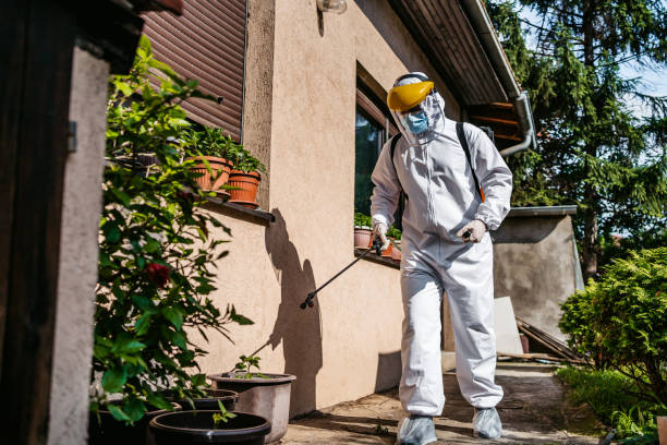 Best Mosquito Control Services  in Clementon, NJ