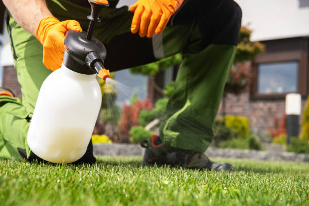 Trusted Clementon, NJ Pest Control Experts