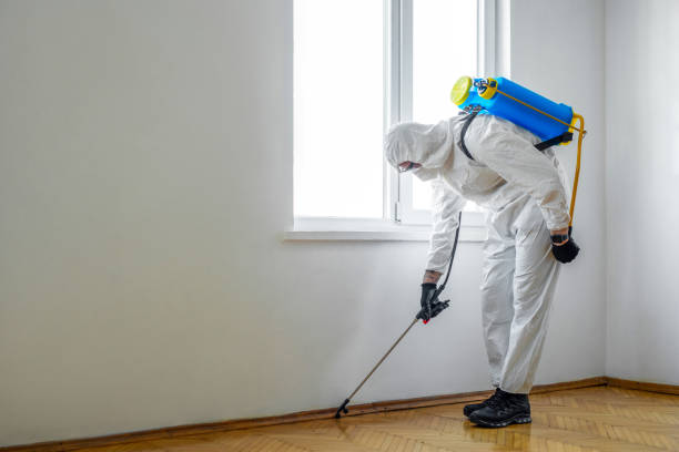 Best Pest Control for Restaurants  in Clementon, NJ