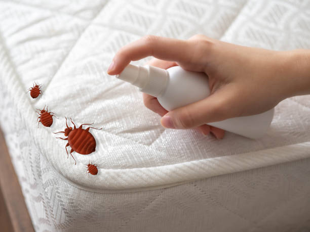 Pest Control for Restaurants in Clementon, NJ